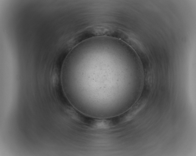 X0000112920226200908241232