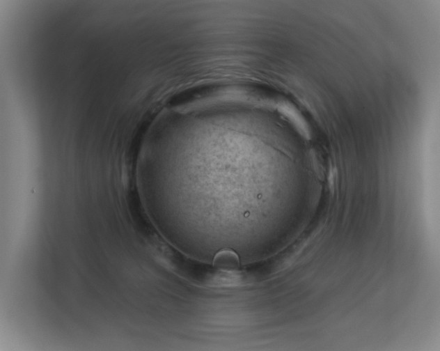 X0000112920227200908241232