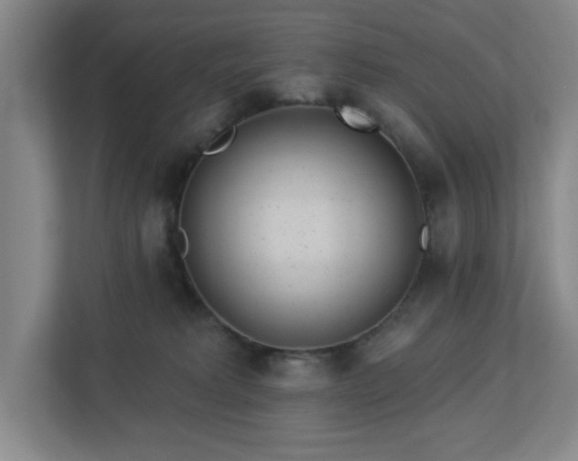 X0000112920229200908241232