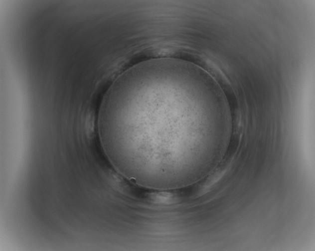 X0000112920230200908241232