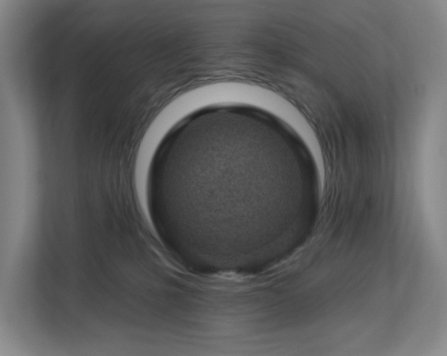 X0000112920231200908241232