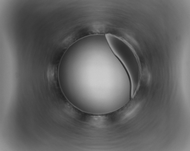 X0000112920233200908241232