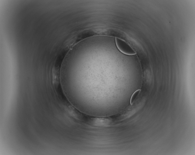 X0000112920234200908241232