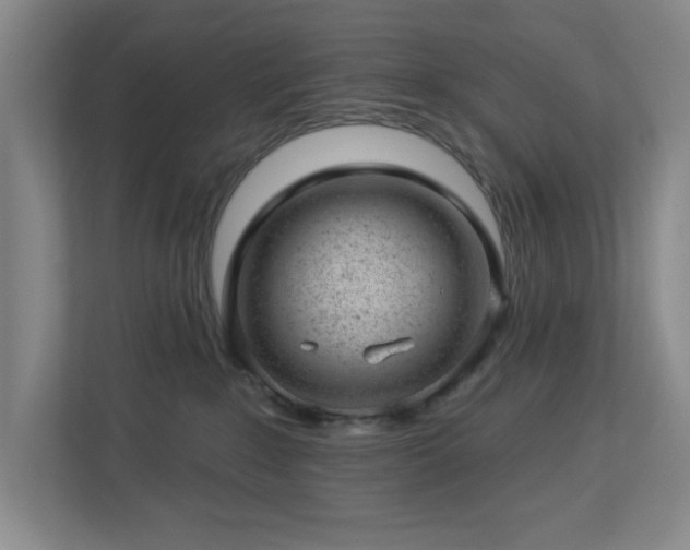 X0000112920235200908241232