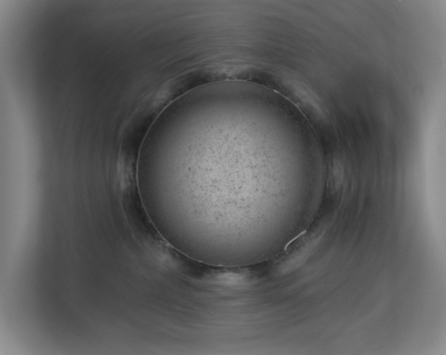 X0000112920236200908241232