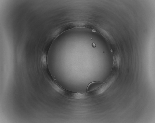 X0000112920238200908241232