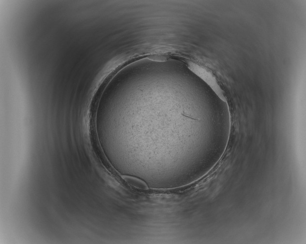 X0000112920242200908241232