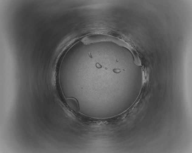 X0000112920243200908241232