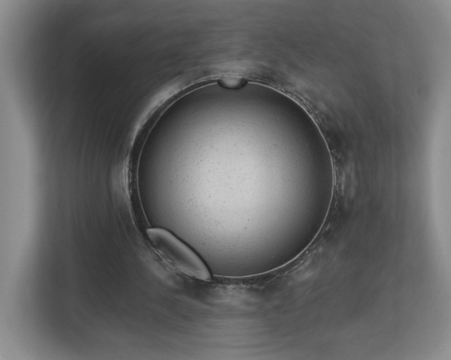 X0000112920244200908241232