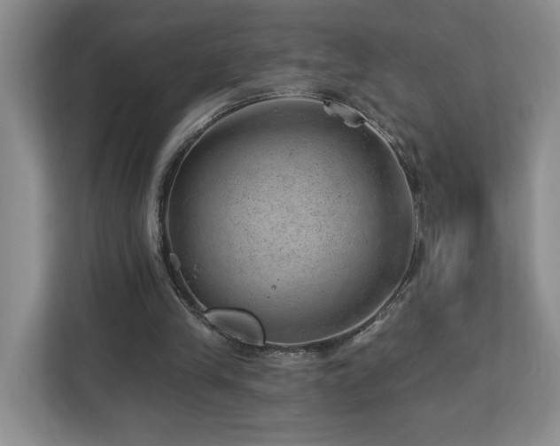 X0000112920245200908241232