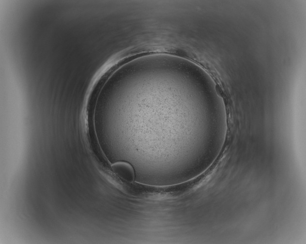 X0000112920246200908241232