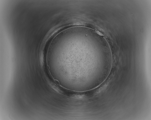 X0000112920247200908241232