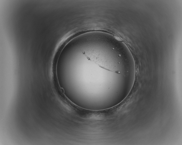 X0000112920248200908241232