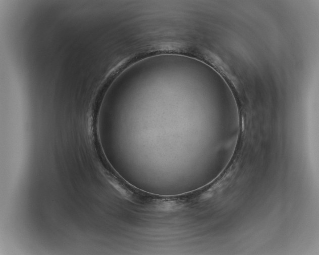 X0000112920249200908241232