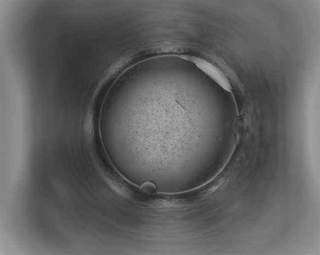 X0000112920250200908241232