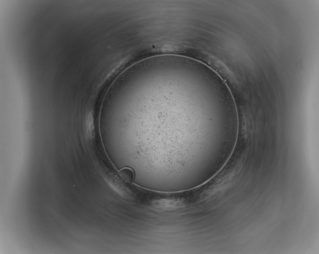 X0000112920251200908241232