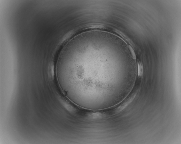 X0000112920253200908241232