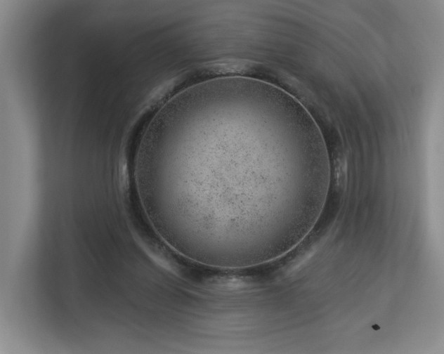 X0000112920254200908241232