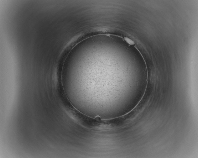 X0000112920256200908241232