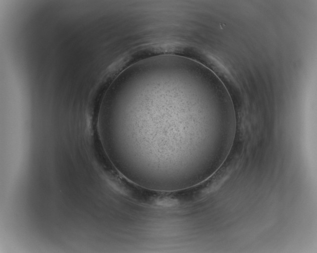 X0000112920258200908241232
