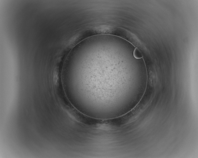 X0000112920259200908241232