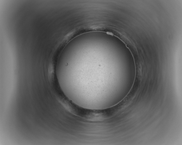 X0000112920260200908241232