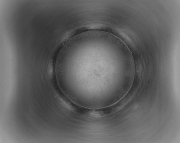X0000112920261200908241232