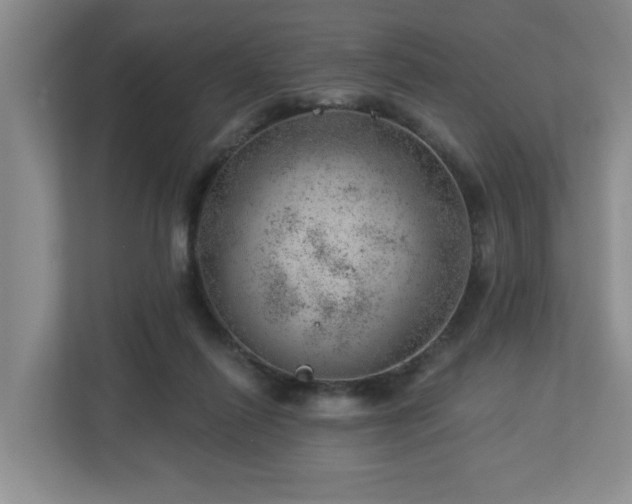 X0000112920262200908241232
