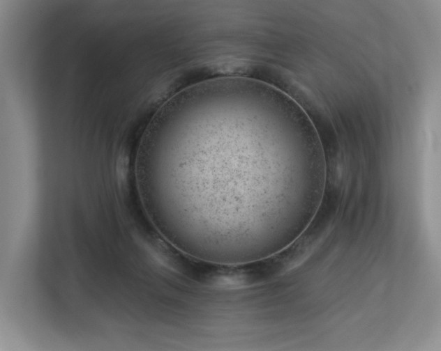 X0000112920263200908241232