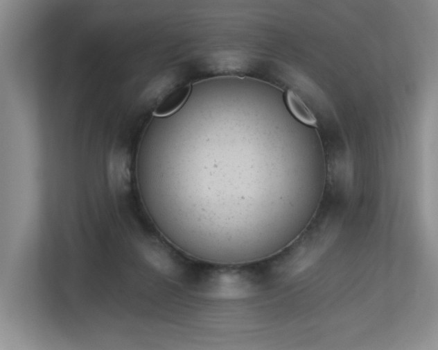 X0000112920264200908241232