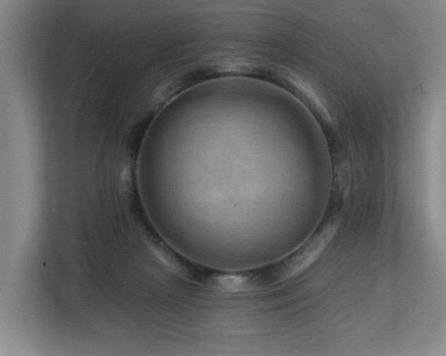 X0000112920265200908241232