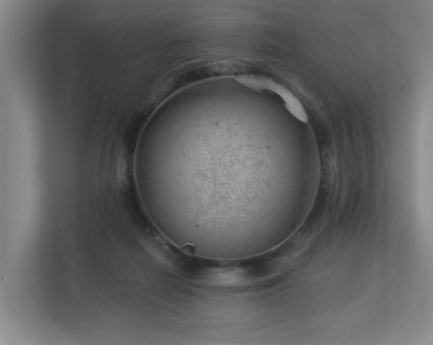 X0000112920266200908241232