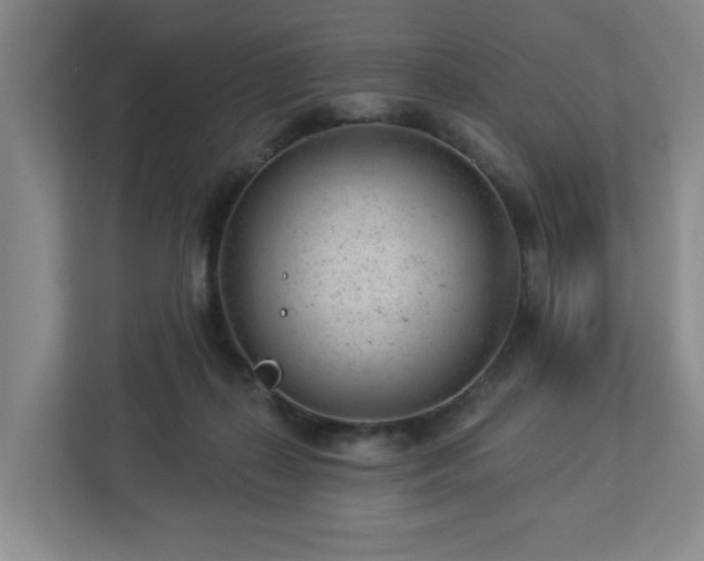 X0000112920267200908241232