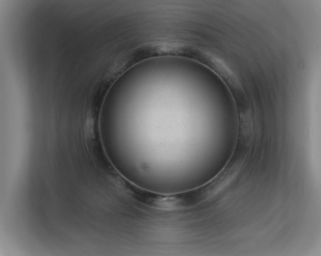 X0000112920269200908241232