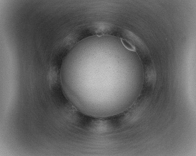 X0000112920276200908241232