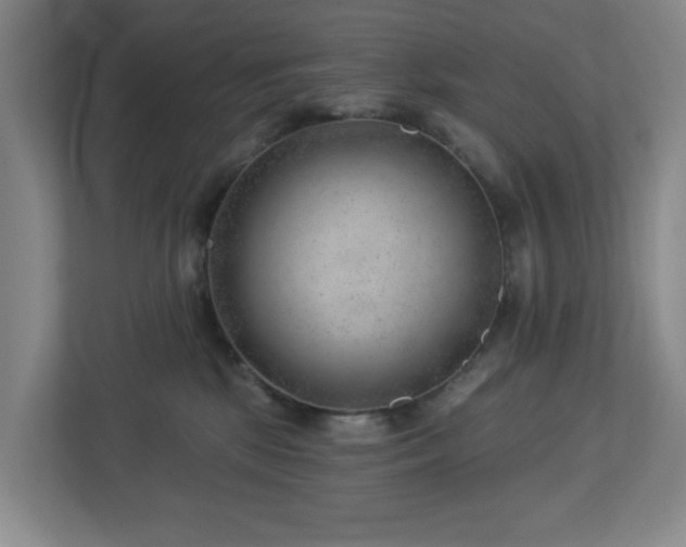X0000112920281200908241232