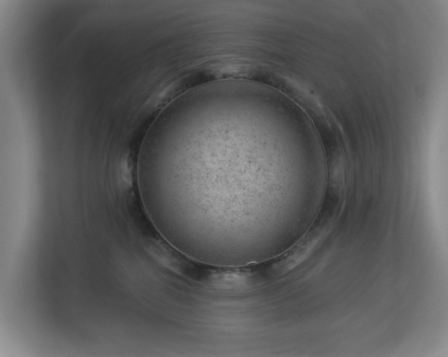 X0000112920282200908241232