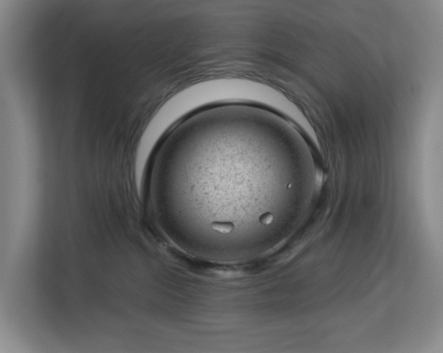 X0000112920284200908241232