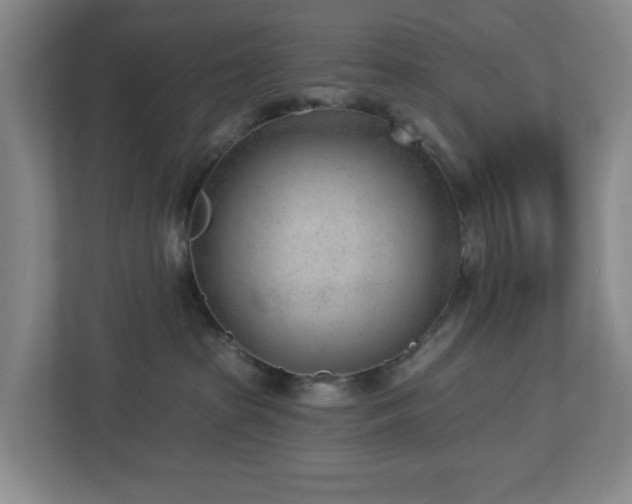 X0000112920285200908241232