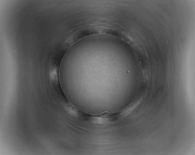 X0000112920286200908241232