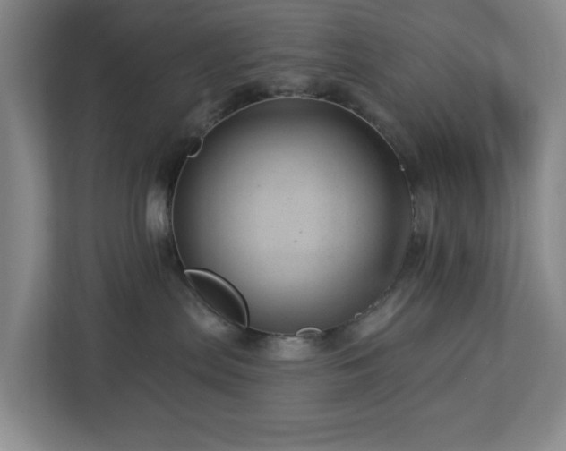 X0000112920287200908241232