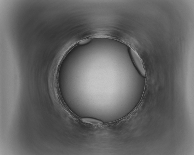X0000112920289200908241232