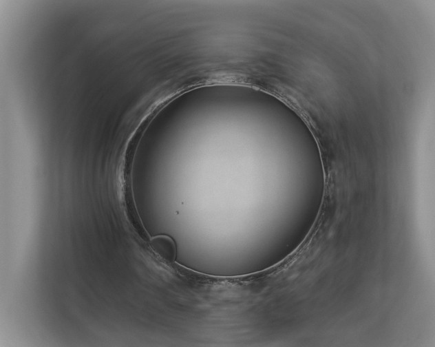 X0000112920290200908241232