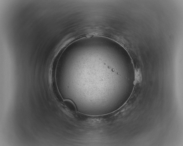 X0000112920291200908241232