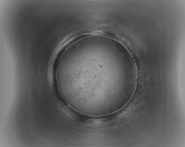 X0000112920295200908241231
