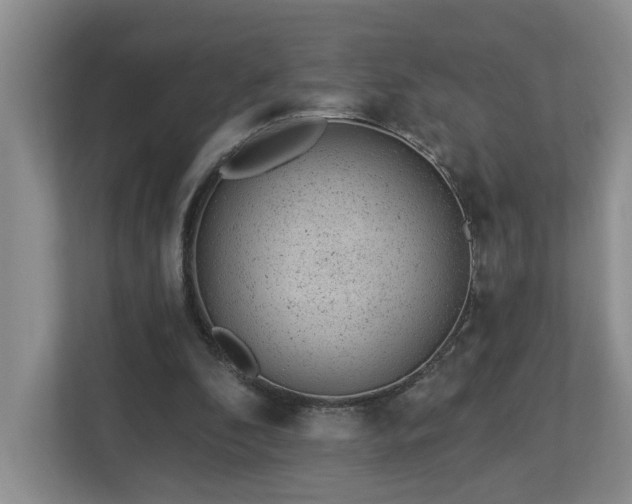 X0000112920296200908241231