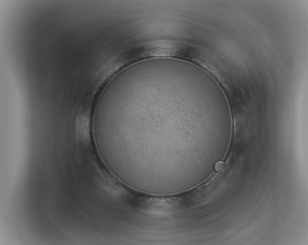 X0000112920297200908241231