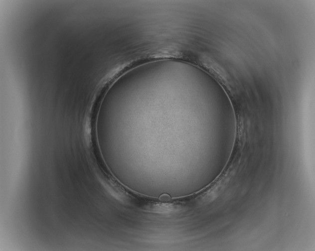 X0000112920298200908241231