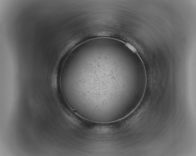 X0000112920299200908241231