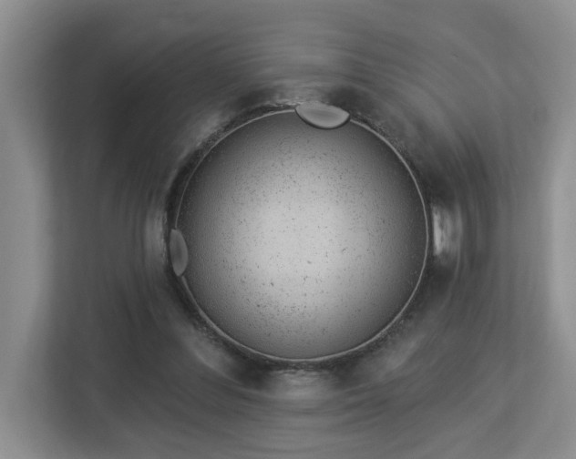 X0000112920300200908241231